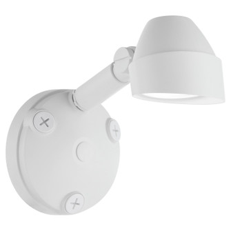 LED Flood Light in Studio White (19|93018)