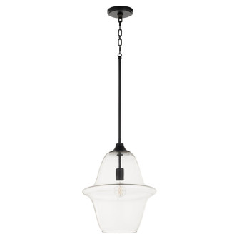 Stewart Pendant in Matte Black (19|8361459)
