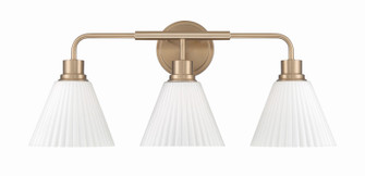 Pleated II Three Light Vanity in Premium Bronze (46|62303CPZ)