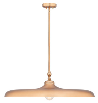 Camden One Light Pendant in Rubbed Brass (224|2308P32RB)