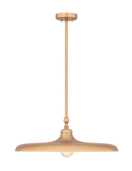 Camden One Light Pendant in Rubbed Brass (224|2308P24RB)