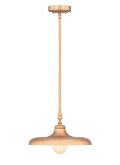 Camden One Light Pendant in Rubbed Brass (224|2308P14RB)