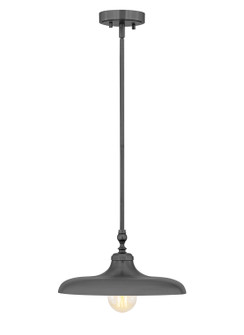 Camden One Light Pendant in Modern Bronze (224|2308P14MBZ)
