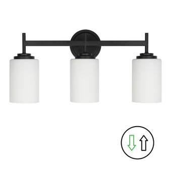 Wynona Three Light Vanity in Opal White (216|WYN223WMB)