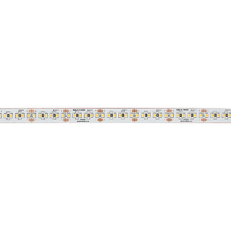 LED Tape Light in White (216|SDLT14430)