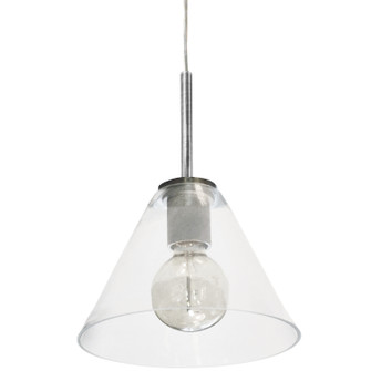 Roswell One Light Pendant in Satin Chrome (216|RSW91PSCCLR)