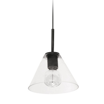Roswell One Light Pendant in Black (216|RSW91PMBCLR)