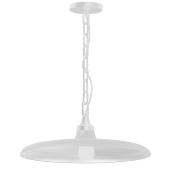 Quentin One Light Pendant in Matte White (216|QTN181PMW)