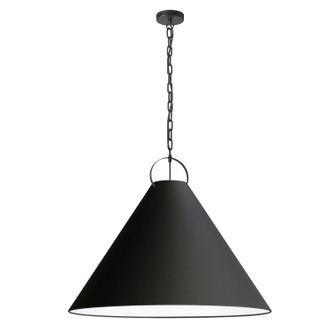 Princeton One Light Pendant in Black (216|PCN321PMB797)