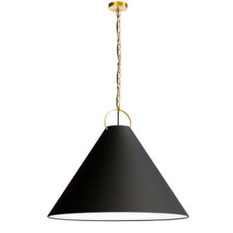 Princeton One Light Pendant in Black (216|PCN321PAGB797)