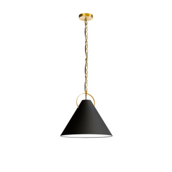Princeton One Light Pendant in Black (216|PCN161PAGB797)