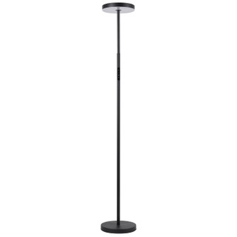 Francine LED Floor Lamp in Sandy Black (216|FCE5430LEDFSB)