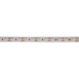 LED LED Tape Light in Clear (216|DLTOD3517)