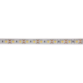 LED LED Tape Light in Clear (216|DLTOD3517)
