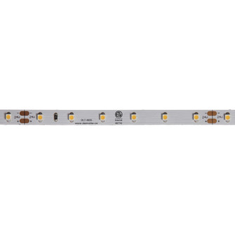 LED LED Tape Light in White (216|DLT4835)