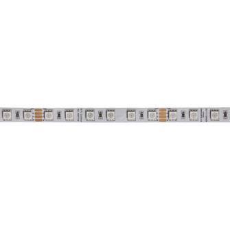 LED LED Tape Light in White (216|DLT173RGB)