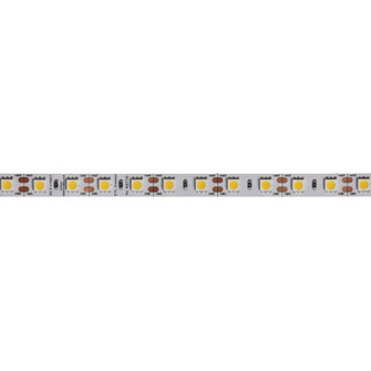 LED LED Tape Light in White (216|DLT17327)