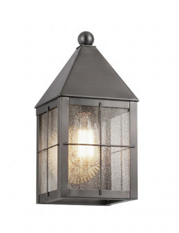 Ashford One Light Wall Sconce in Gunmetal (405|9531HGMSDY)