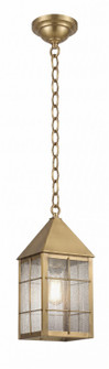 Ashford One Light Pendant in Antique Brass (405|9522HABSDY)