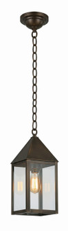 Ashford One Light Pendant in Dark Brass (405|9522DBCL)