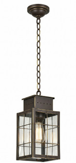 Norfield One Light Pendant in Bronze (405|9422HBZCL)