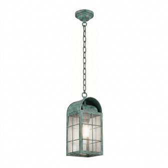 Durham One Light Pendant in Verde Green (405|9122HVGSDY)