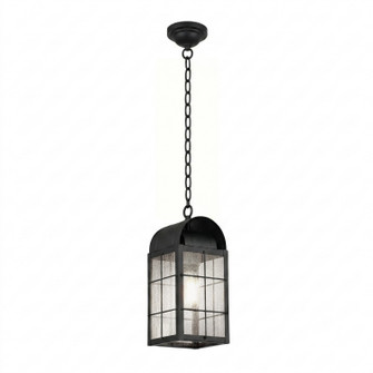 Durham One Light Pendant in Matte Black (405|9122HBKSDY)