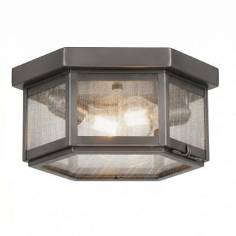 Branford Two Light Semi Flush Mount in Gunmetal (405|91132GMSDY)