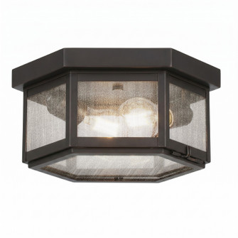 Branford Two Light Semi Flush Mount in Dark Brass (405|91132DBSDY)