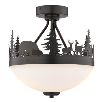 Acadia Two Light Semi-Flush Mount in Bronze (63|C0374)