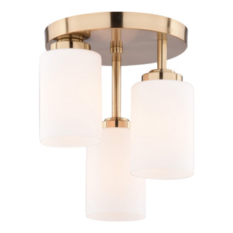 Park Ridge Three Light Flush Mount in Champagne Gold (63|C0358)