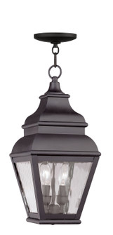 Exeter Two Light Outdoor Pendant in Bronze (107|260407)