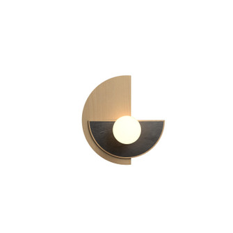Organic One Light Wall Lamp in Maple (486|425334)