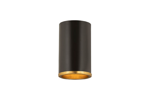 Arlo One Light Flush Mount in Matte Black + Rubbed Brass (224|2303F1MBRB)