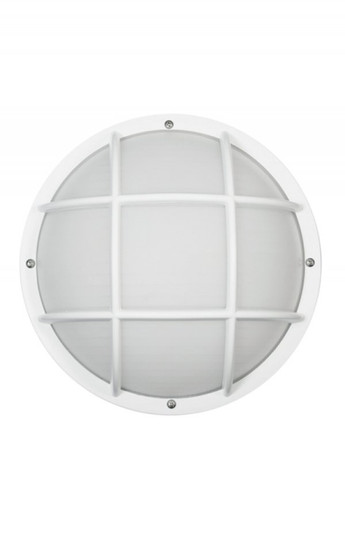 Nautical One Light Wall/Ceiling Mount in White (301|S772WFWH)