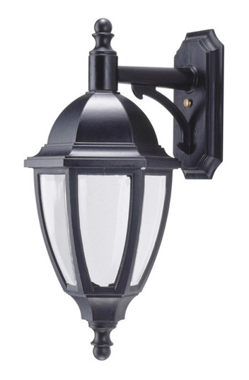 Everstone LED One Light Lantern in Blackstone (301|S11VFLR15WBK)