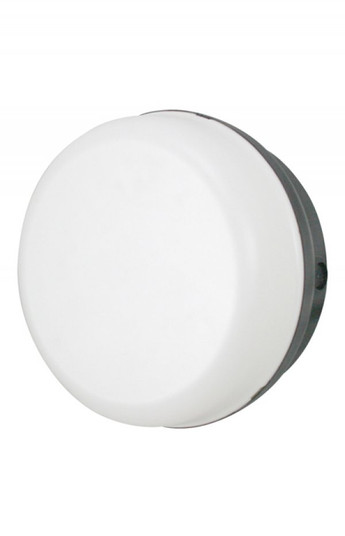 LED Gardian One Light Ceiling Mount in Black (301|165FMLR12WBK)