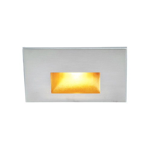 Led100 LED Step and Wall Light in Stainless Steel (34|WLLED100AMSS)