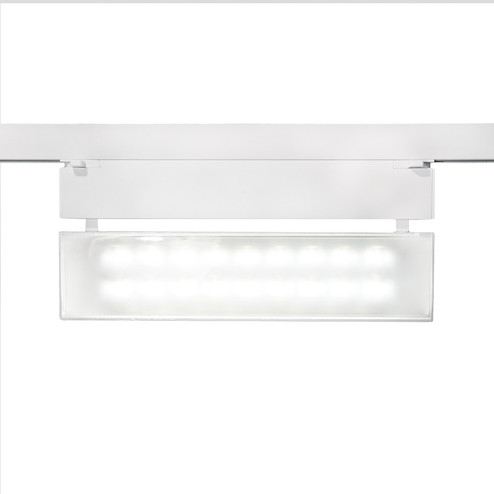 Wall Wash 42 LED Track Fixture in White (34|WHKLED42W30WT)