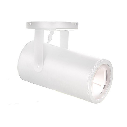 Silo LED Spot Light in White (34|MO2042930WT)