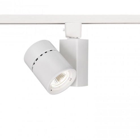 Exterminator Ii- 1023 LED Track Head in White (34|L1023N840WT)