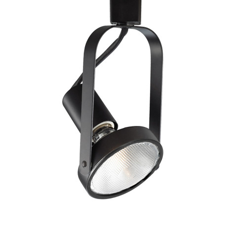 765 One Light Track Head in Black (34|JTK765BK)