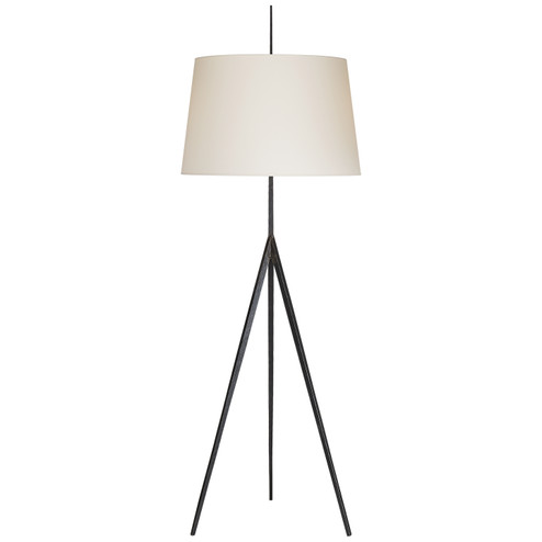 Triad One Light Floor Lamp in Aged Iron (268|S1641AIL)
