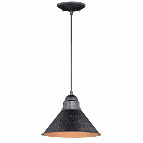 Outland One Light Outdoor Pendant in Aged Iron/Light Gold (63|T0349)