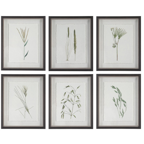 Forest Finds Framed Prints, S/6 in Dark Espresso (52|41459)