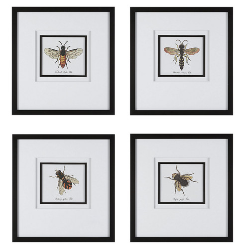 Anthophila Framed Prints in Black (52|41428)