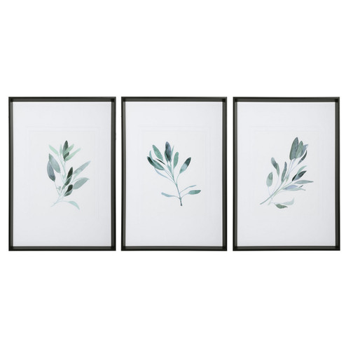 Simple Sage Wall Art in Black (52|33723)