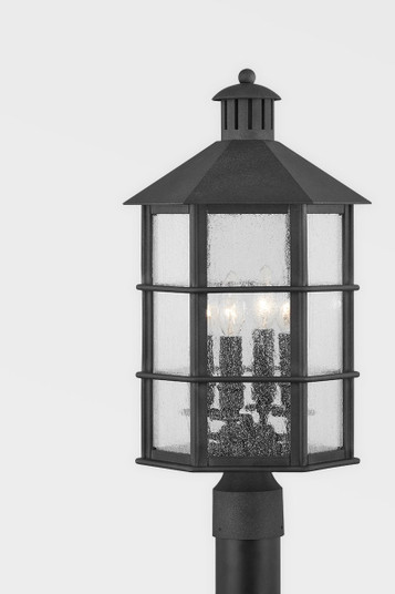 Lake County Four Light Outdoor Post in French Iron (67|P2522FRN)