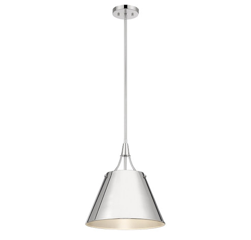 Willis One Light Pendant in Polished Nickel (51|744991109)