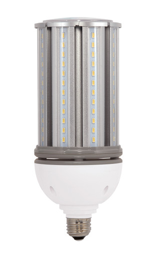 Light Bulb in Clear (230|S9489)